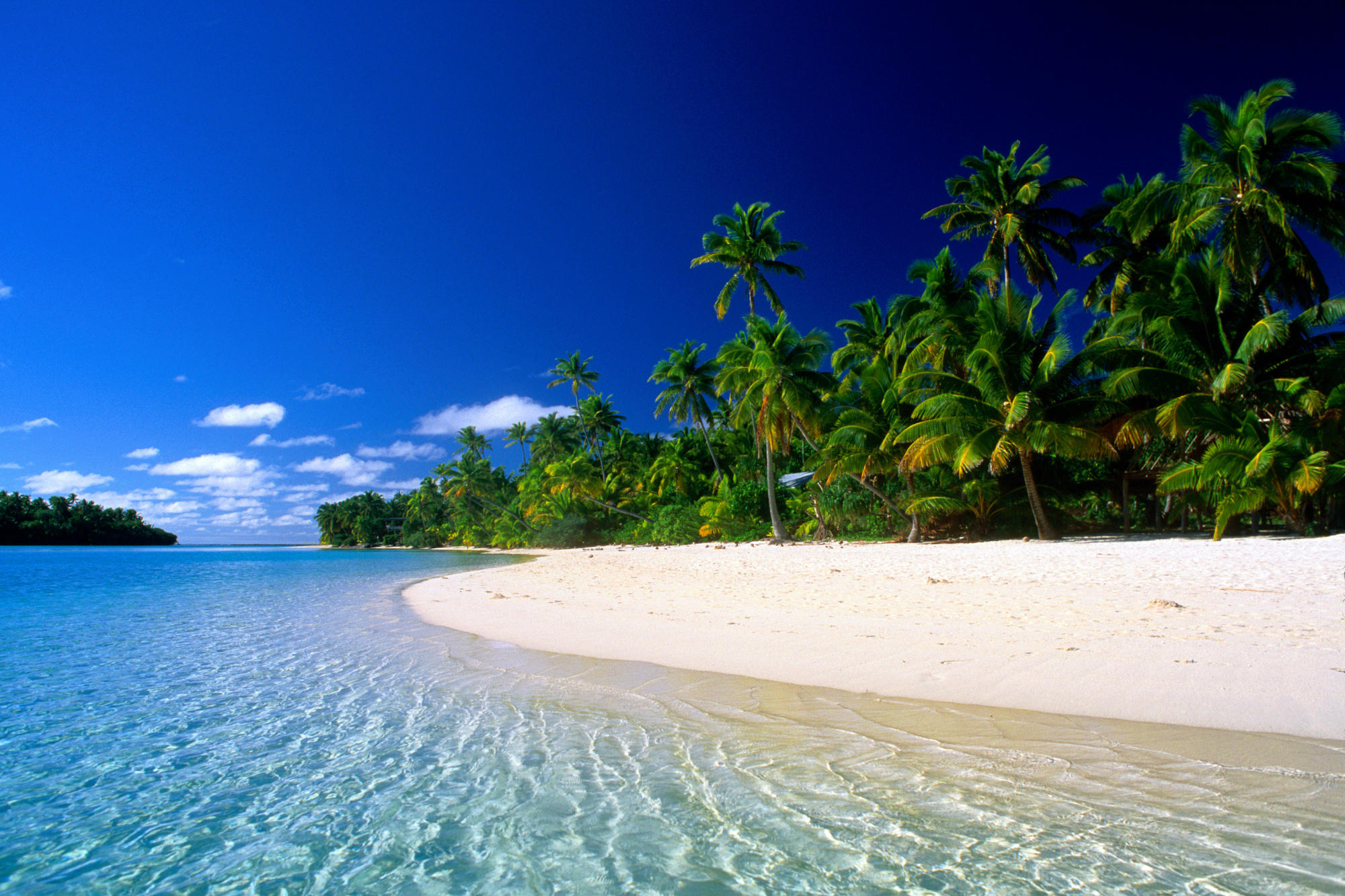 вода, пальмовые деревья, пляжи - обои на рабочий стол
