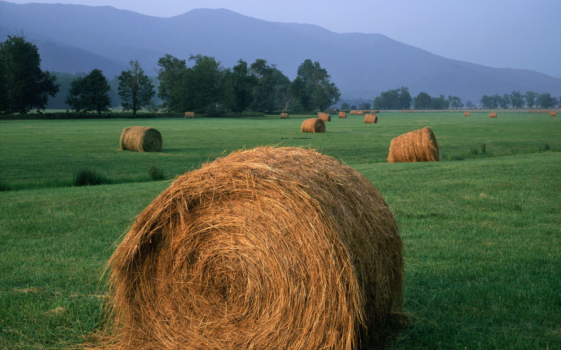 пейзажи, трава, поля, сена, сельское хозяйство, сельское хозяйство - обои на рабочий стол