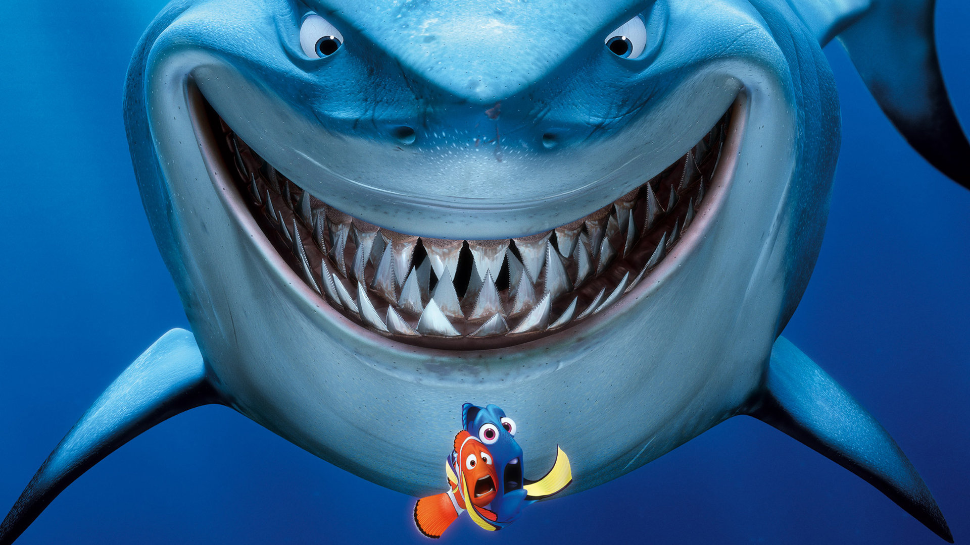 Pixar, В поисках Немо, акулы - обои на рабочий стол