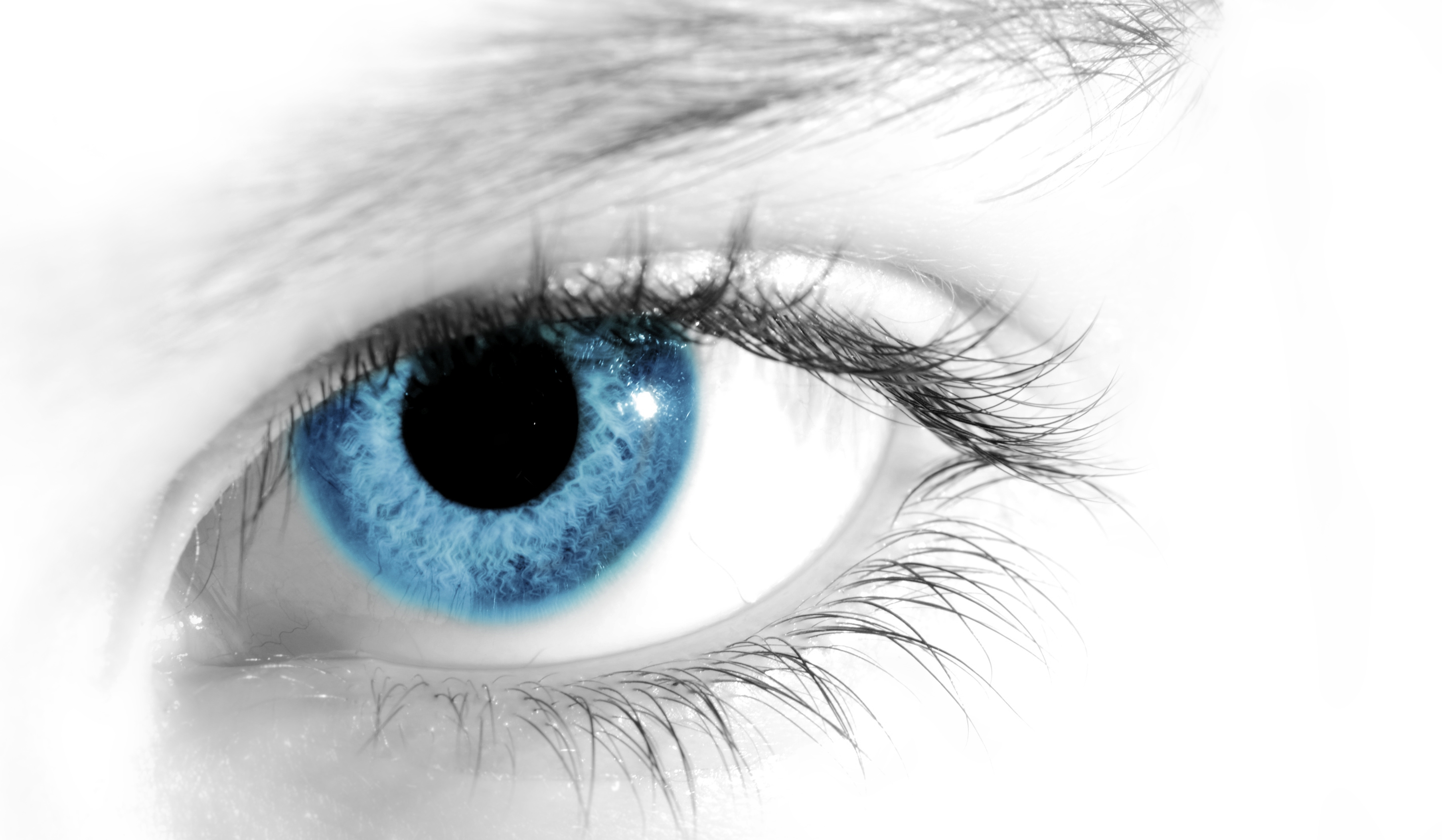 глаза, голубые глаза - обои на рабочий стол