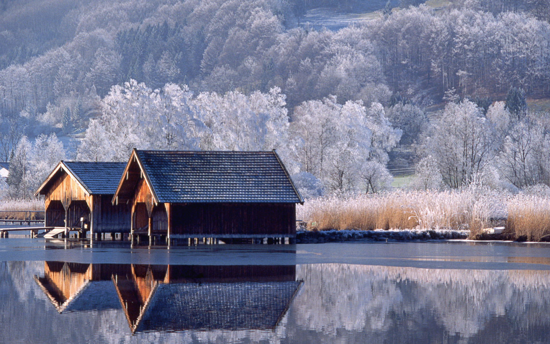 зима, снег, деревья, дома, озера, отражения - обои на рабочий стол