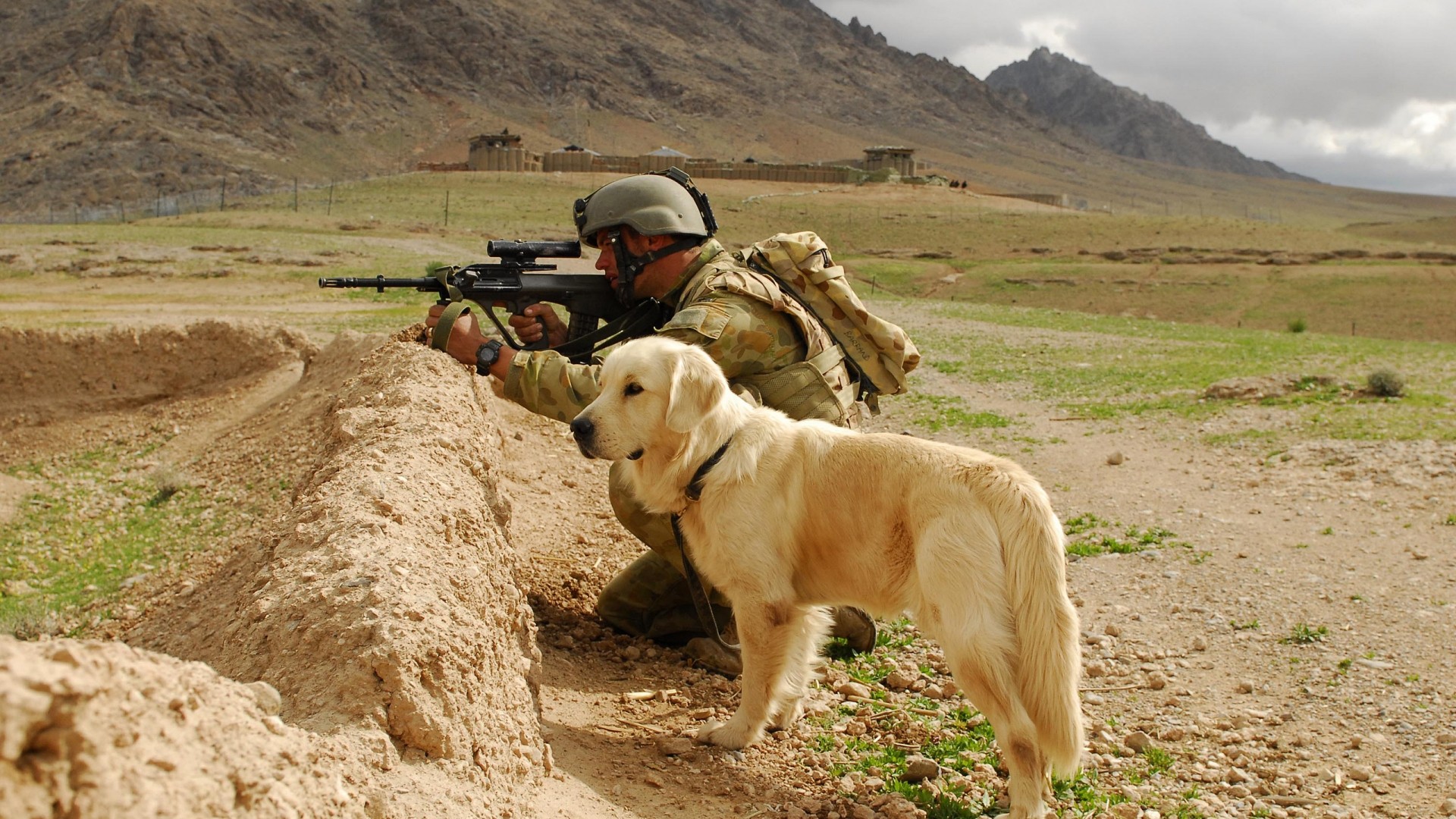 солдат, собаки, Август - обои на рабочий стол