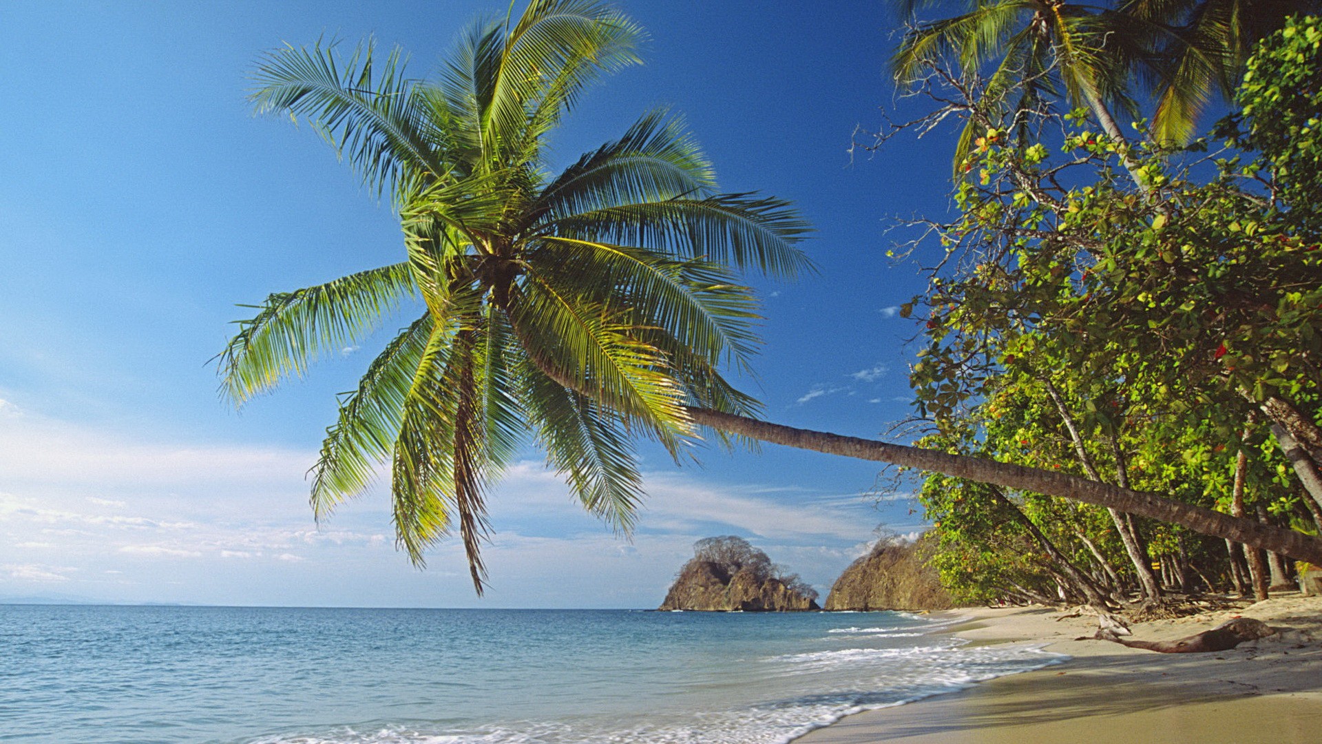 пейзажи, природа, Palm Island, пляжи - обои на рабочий стол