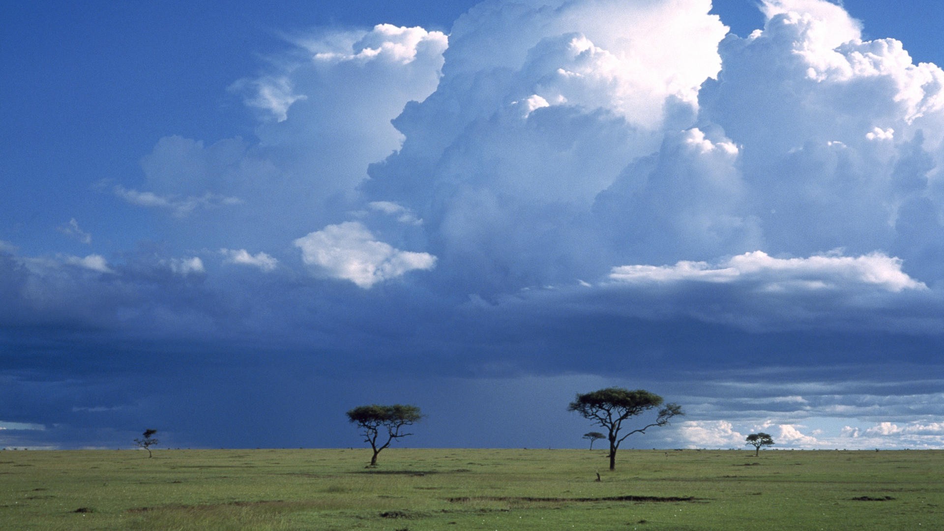 пейзажи, буря, национальный, мара, Африка, Кения, саванна - обои на рабочий стол