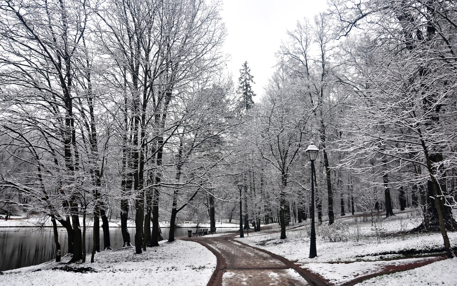 пейзажи, природа, зима, снег, деревья, леса, дороги - обои на рабочий стол