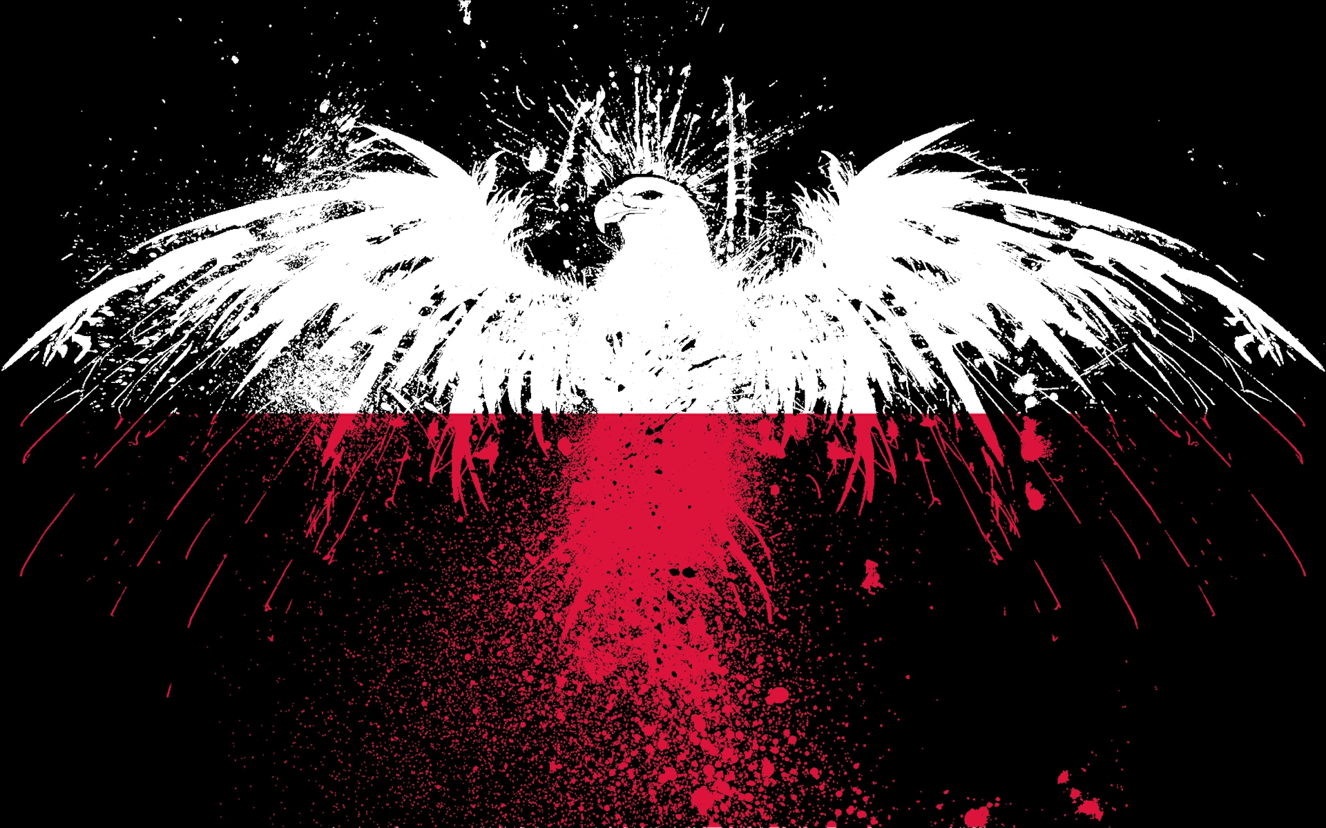 красный цвет, белый, орлы, флаги, польский, Польша, темный фон, Белый Орел - обои на рабочий стол