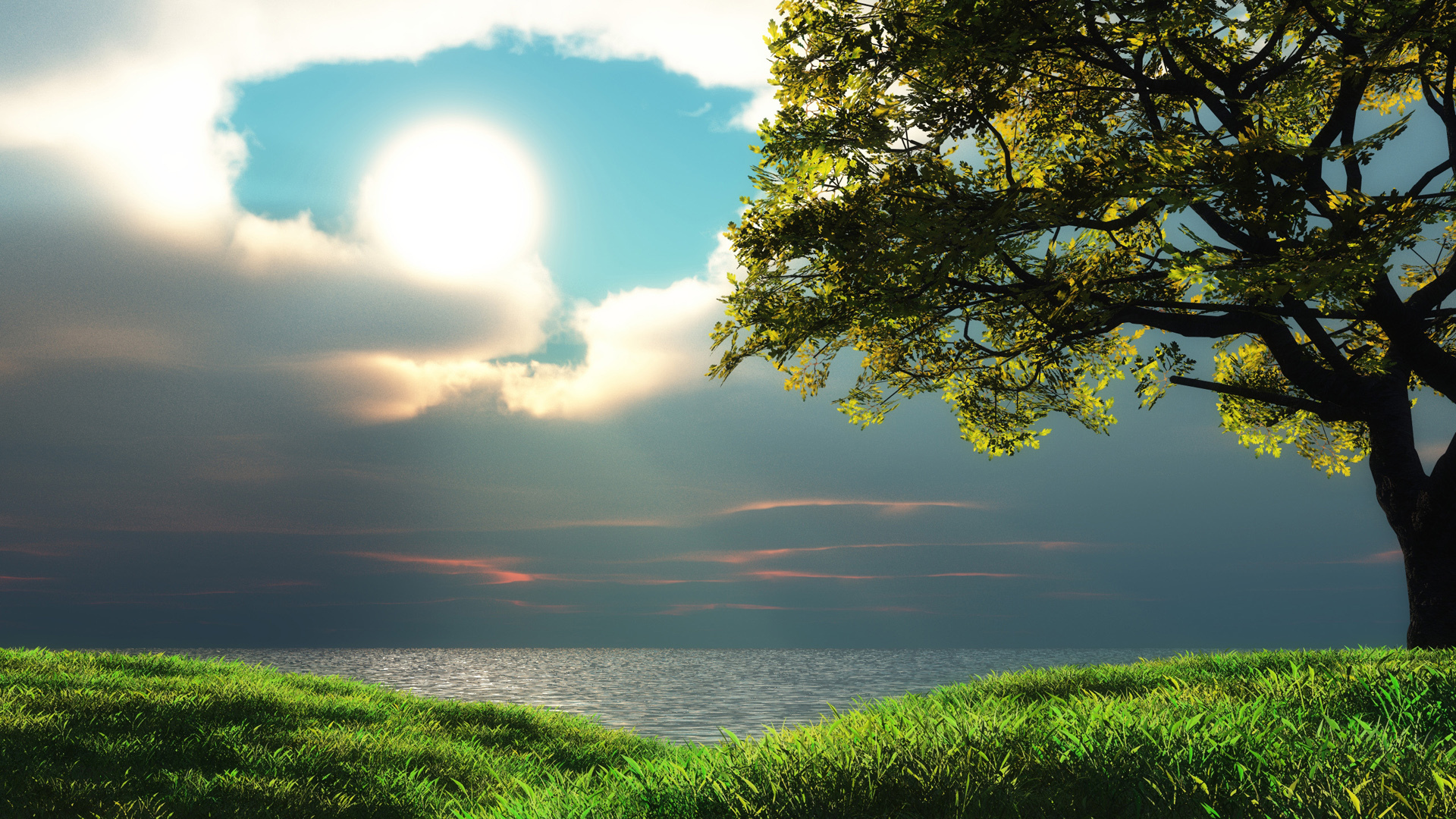 зеленый, океан, пейзажи, природа, Солнце, деревья, трава, HDR фотографии, небо, море - обои на рабочий стол