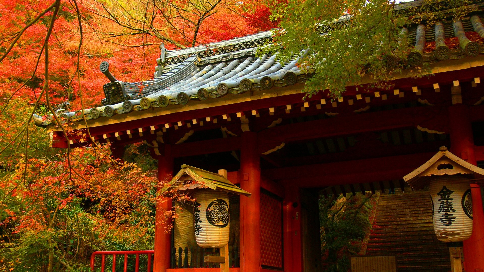 Япония, деревья, осень, дома - обои на рабочий стол