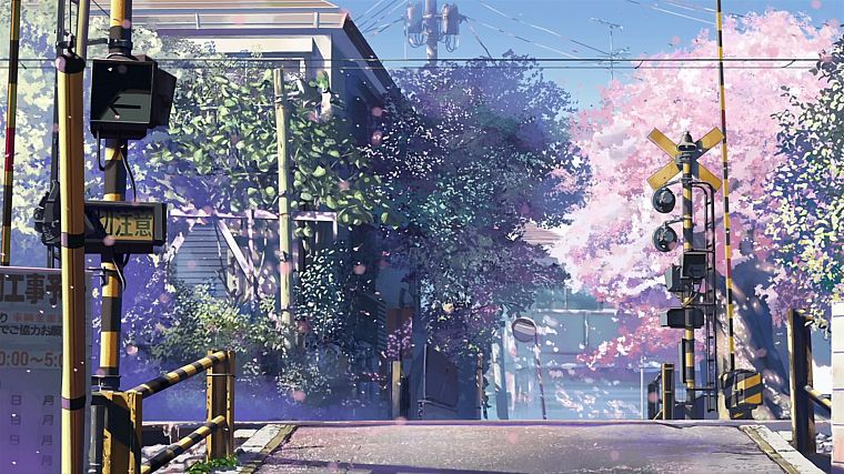 вишни в цвету, улицы, Макото Синкай, железнодорожные пути, дороги, 5 сантиметров в секунду, железные дороги, железнодорожный переезд - обои на рабочий стол