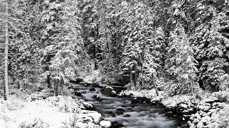 пейзажи, природа, зима, Канада, Альберта, Национальный парк Банф, Национальный парк - обои на рабочий стол