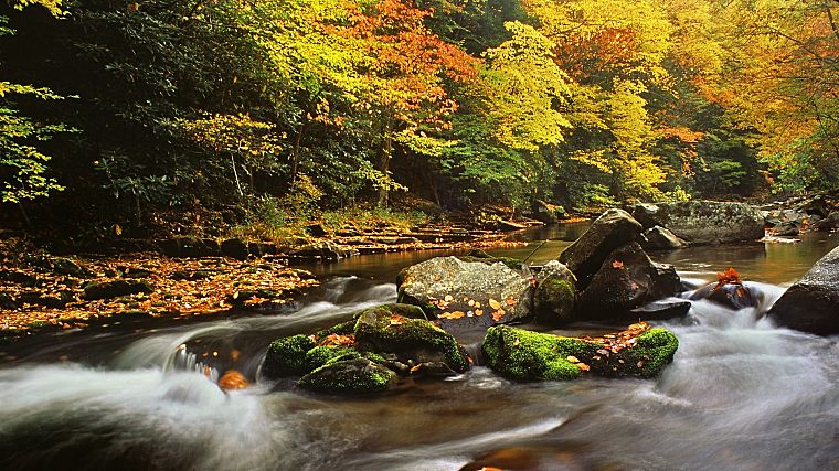 осень, листья, скалы, течь, реки, Северная Каролина - обои на рабочий стол