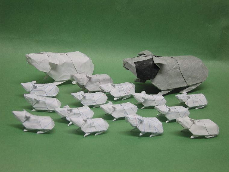 бумага, оригами, морские свинки, морская свинка - обои на рабочий стол