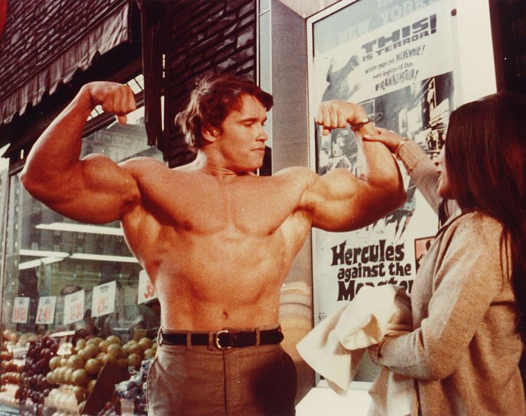 Нью-Йорк, Арнольд Шварценеггер, Hercules, мышцы - обои на рабочий стол