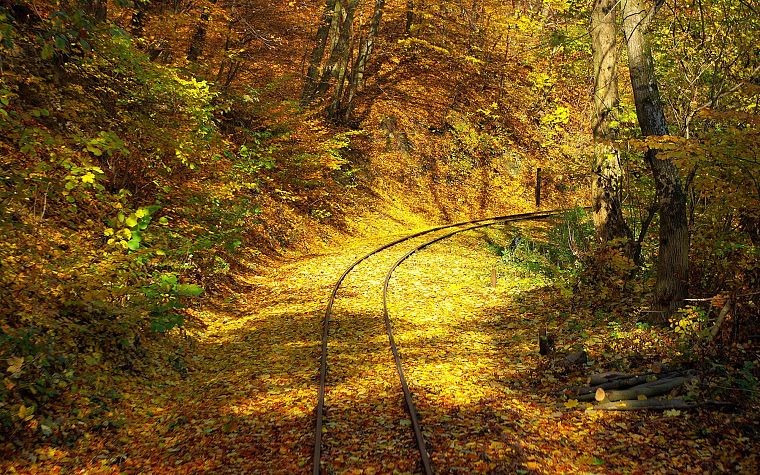 деревья, осень, листья, железнодорожные пути - обои на рабочий стол