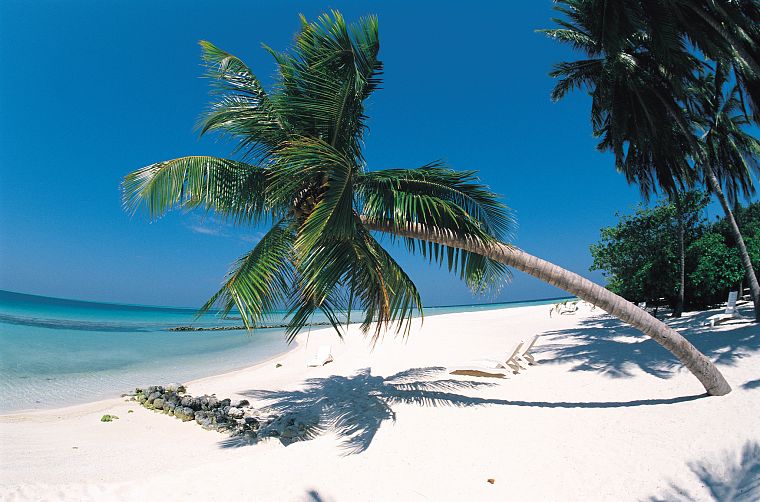 океан, острова, пальмовые деревья, пляжи - обои на рабочий стол