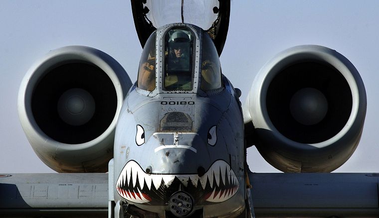 самолет, военный, А-10 Thunderbolt II, нос искусство - обои на рабочий стол