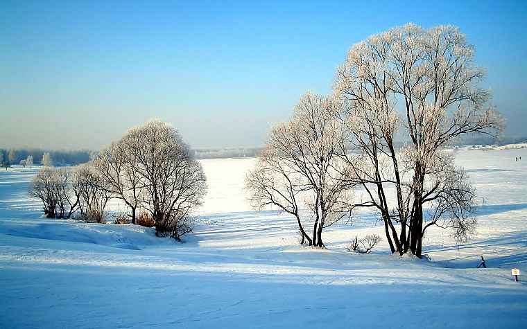 пейзажи, зима, снег - обои на рабочий стол