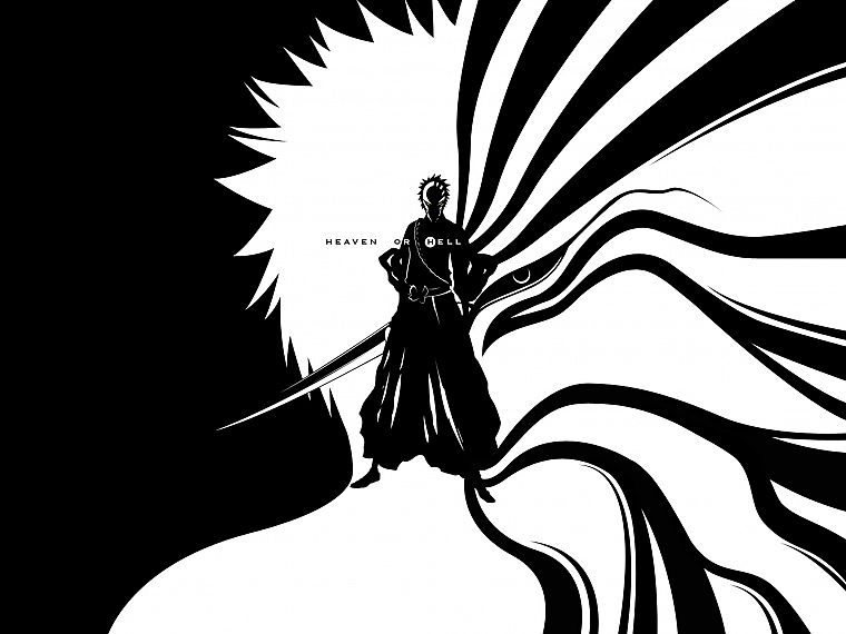черно-белое изображение, Отбеливатель, Куросаки Ичиго, ад, небеса, Полые Ичиго - обои на рабочий стол