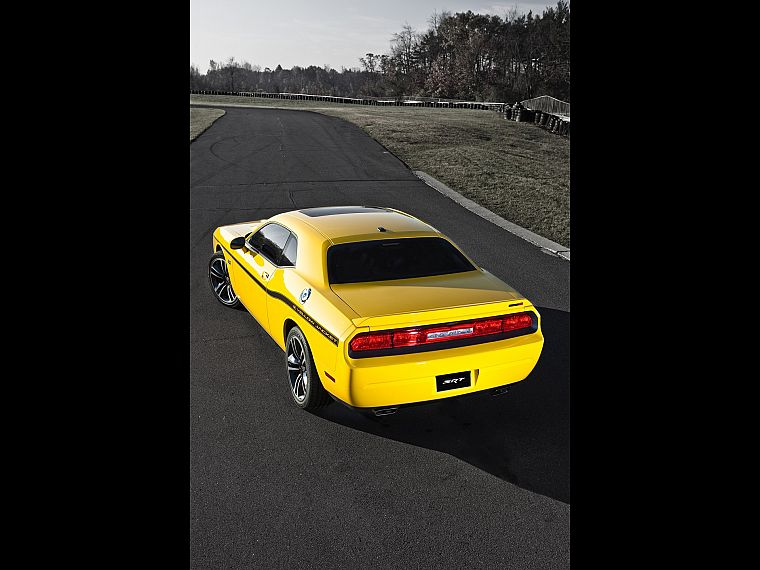 жакеты, Dodge Challenger, Dodge Challenger SRT8, желтые автомобили - обои на рабочий стол