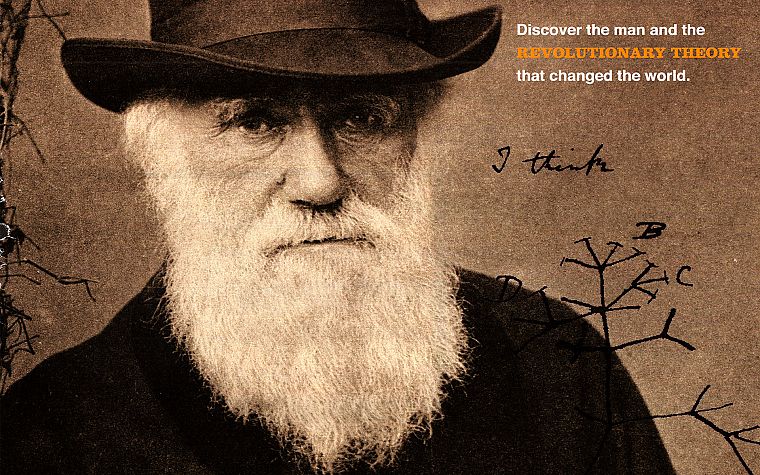 Дарвин, борода - обои на рабочий стол