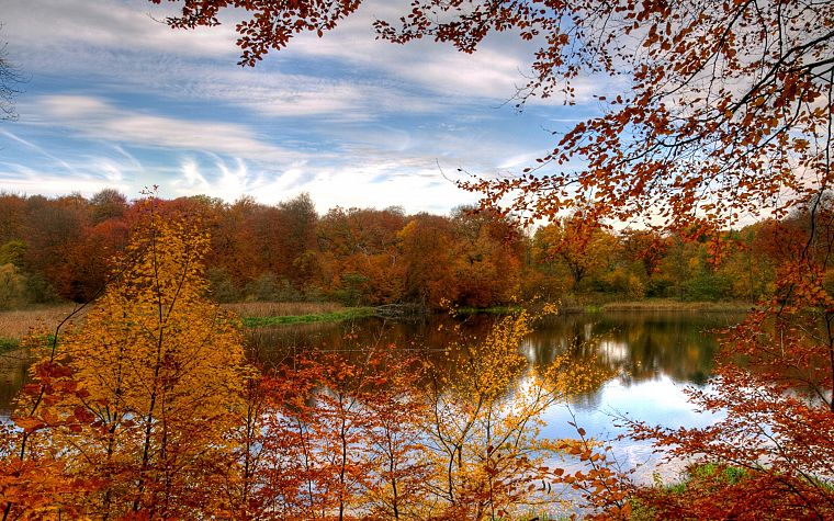 пейзажи, природа, осень, леса - обои на рабочий стол