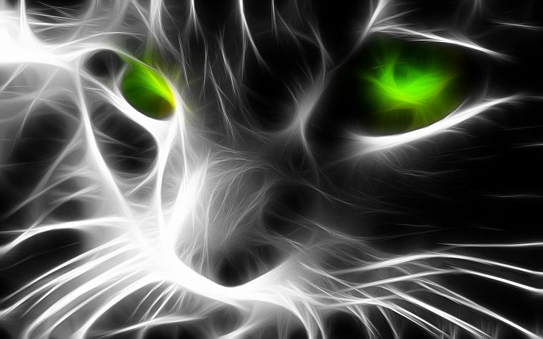 кошки, животные, Fractalius, зеленые глаза - обои на рабочий стол