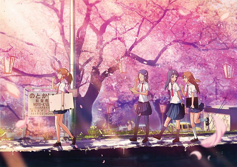 вишни в цвету, школьная форма, на открытом воздухе, лепестки цветов, аниме девушки - обои на рабочий стол