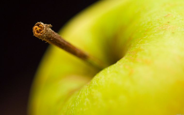фрукты, макро, яблоки - обои на рабочий стол