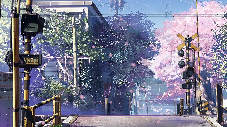 вишни в цвету, Макото Синкай, живописный, 5 сантиметров в секунду, железнодорожный переезд - обои на рабочий стол
