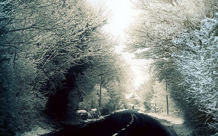 зима, снег, деревья, леса, дороги, Джордж Харрисон - обои на рабочий стол