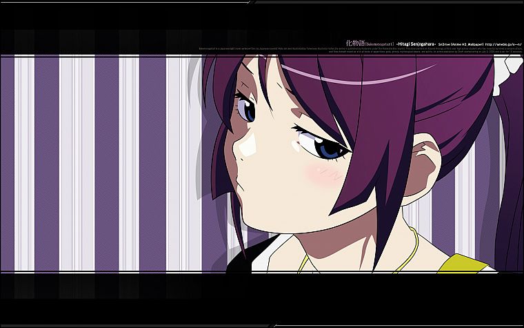 Bakemonogatari (Истории монстров), Сендзегахара Hitagi, аниме девушки, серия Monogatari - обои на рабочий стол