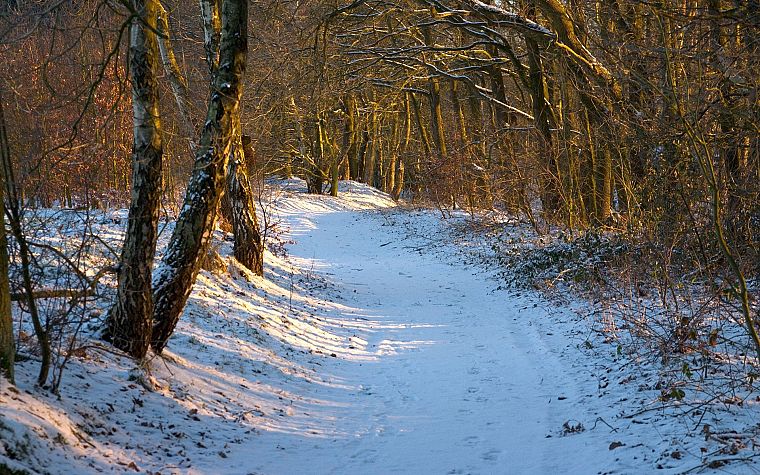 природа, снег, леса, зимние пейзажи - обои на рабочий стол