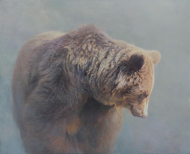 туман, медведи, HDR фотографии, млекопитающие - обои на рабочий стол