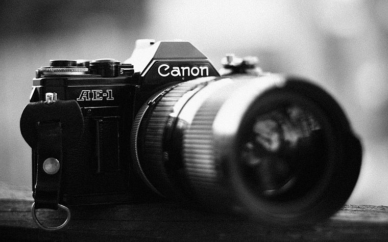 камеры, оттенки серого, Canon - обои на рабочий стол