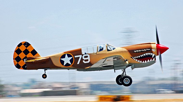 самолет, Curtiss P - 40 - обои на рабочий стол