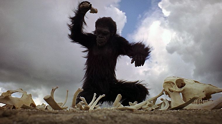 обезьяны, Одиссея, 2001, гоминид - обои на рабочий стол