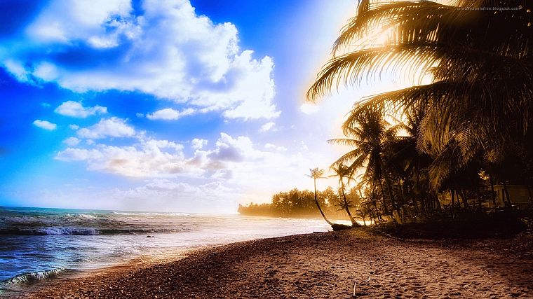 океан, облака, песок, деревья, тропический, солнечный свет, пальмовые деревья, небо, пляжи - обои на рабочий стол