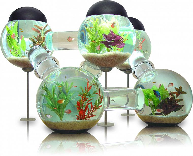 аквариум, садок для рыбы - обои на рабочий стол