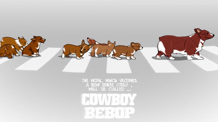 Cowboy Bebop, корги - обои на рабочий стол