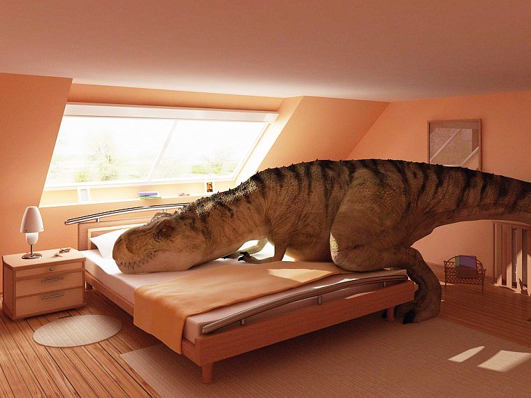 динозавры, спальня, Tyrannosaurus Rex - обои на рабочий стол