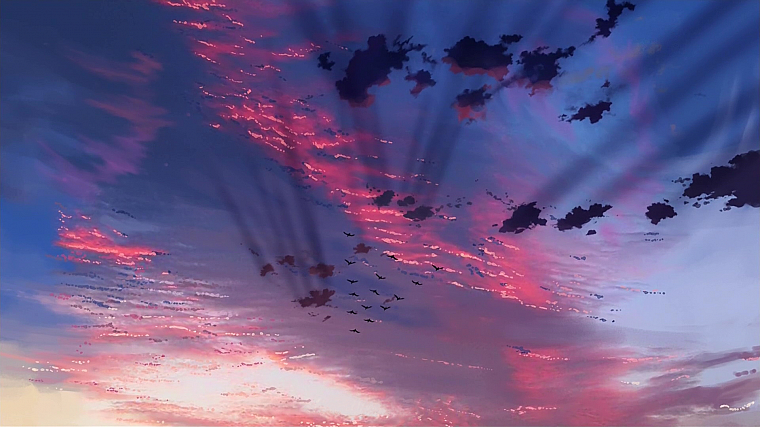 птицы, иллюстрации, Макото Синкай, Место Обещали в наших ранних дней, небо, подсветкой - обои на рабочий стол