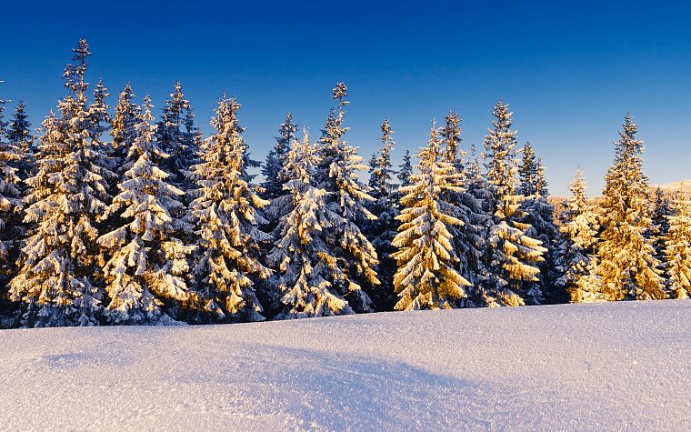 пейзажи, природа, зима, снег, деревья, зимние пейзажи - обои на рабочий стол