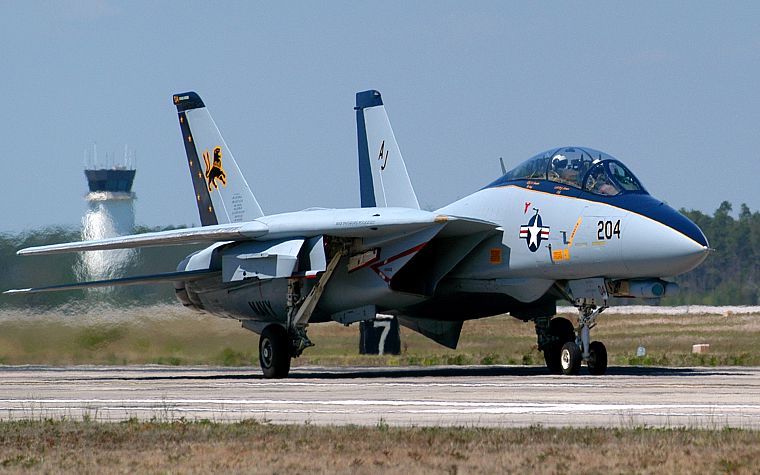 самолет, транспортные средства, реактивный самолет, F-14 Tomcat - обои на рабочий стол