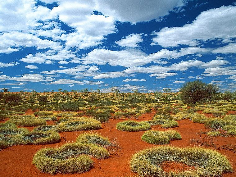 природа, песок, старый, пустыня, немного, кольца, Австралия, небо - обои на рабочий стол