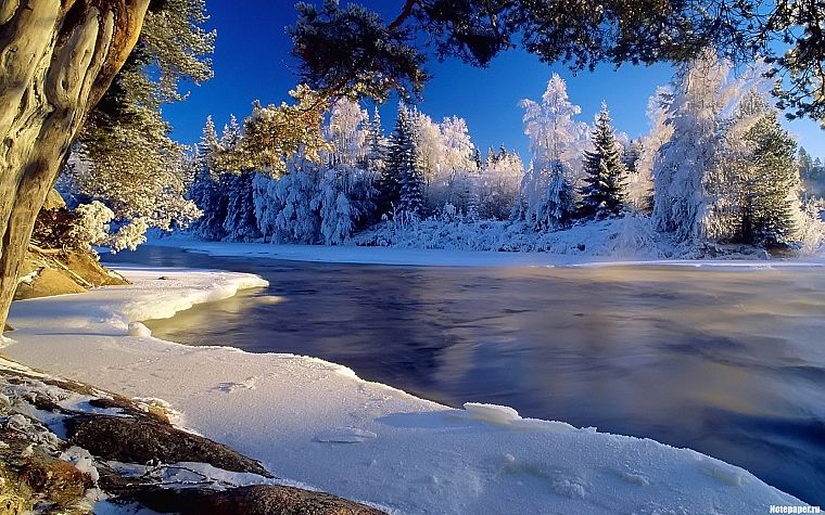 пейзажи, природа, зима, снег - обои на рабочий стол
