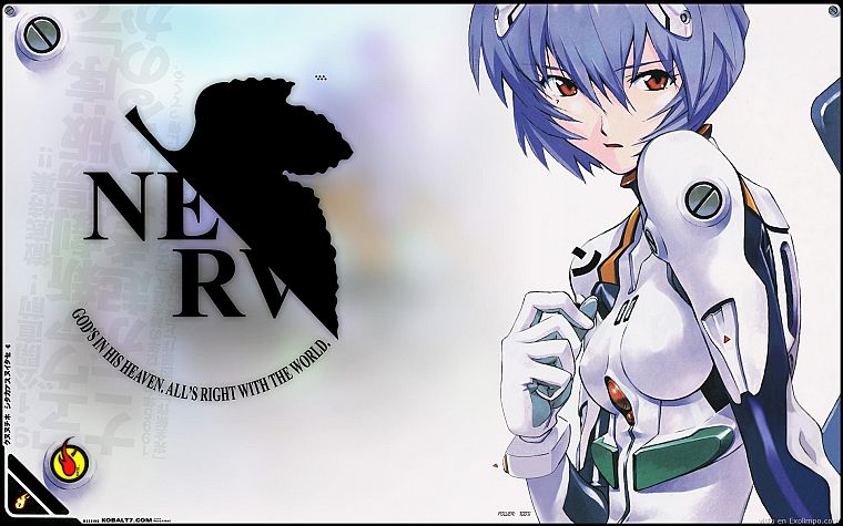Ayanami Rei, Neon Genesis Evangelion (Евангелион), NERV - обои на рабочий стол