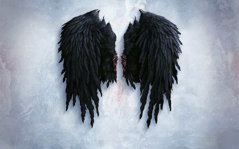 крылья, Aion, Асмодианин, ангельские крылья - обои на рабочий стол
