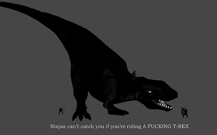 ниндзя, ниндзя не могу поймать вас , если, Tyrannosaurus Rex - обои на рабочий стол