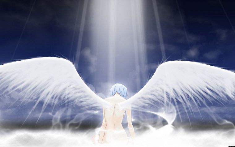 ангелы, крылья, Ayanami Rei, Neon Genesis Evangelion (Евангелион) - обои на рабочий стол