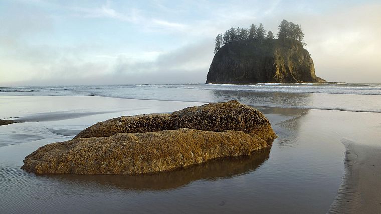 Орегон, Национальный парк, море, пляжи - обои на рабочий стол